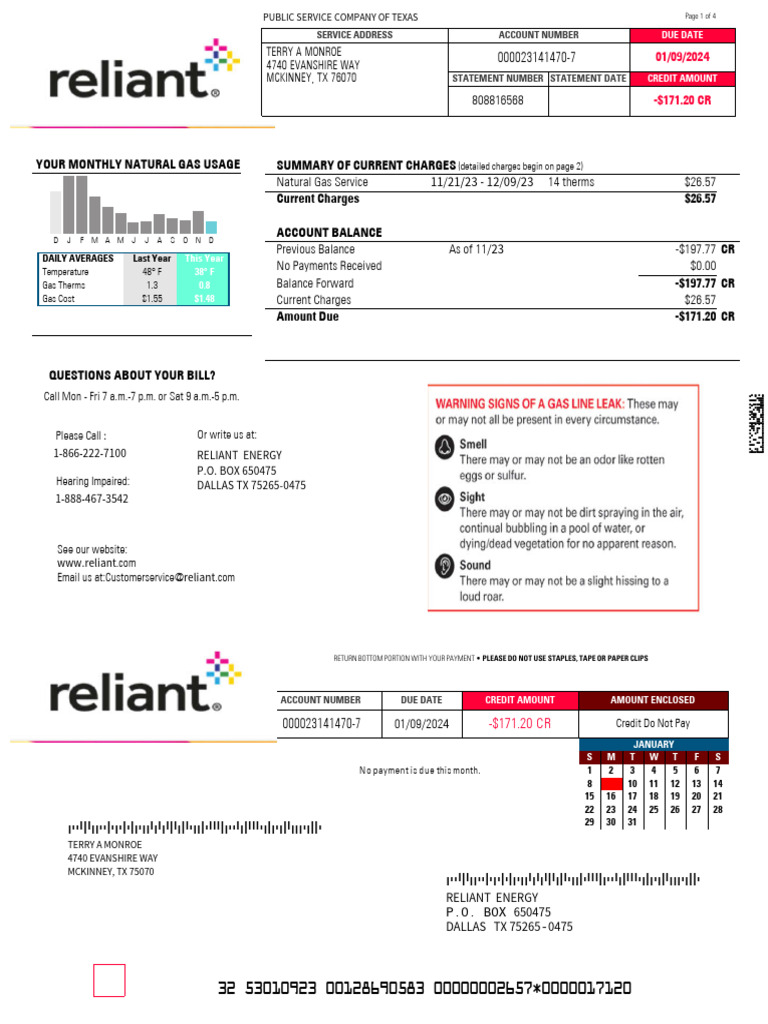 Reliant Energy Bill Overview | PDF