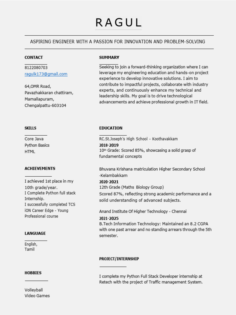 Aspiring Engineer with IT Skills | PDF | Business | Art