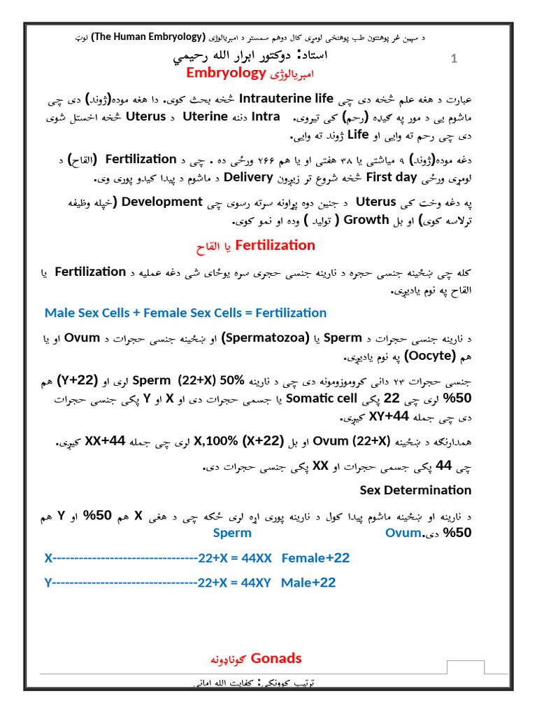Embryology Note | PDF