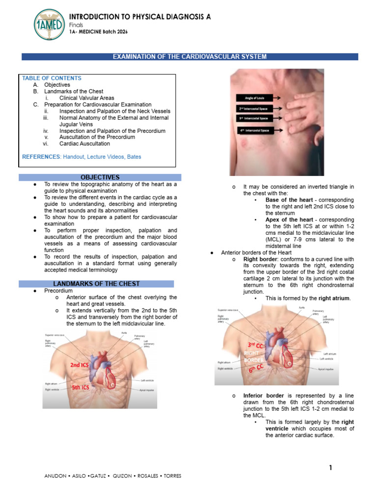 06 Cardiovascular System | PDF | Pulse | Heart