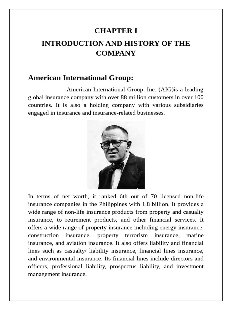 AIG Japan Holdings: Company Overview | PDF | Insurance | American ...
