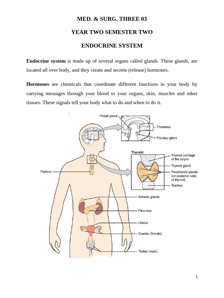 Med. Surg Notes | PDF | Hyperthyroidism | Thyroid