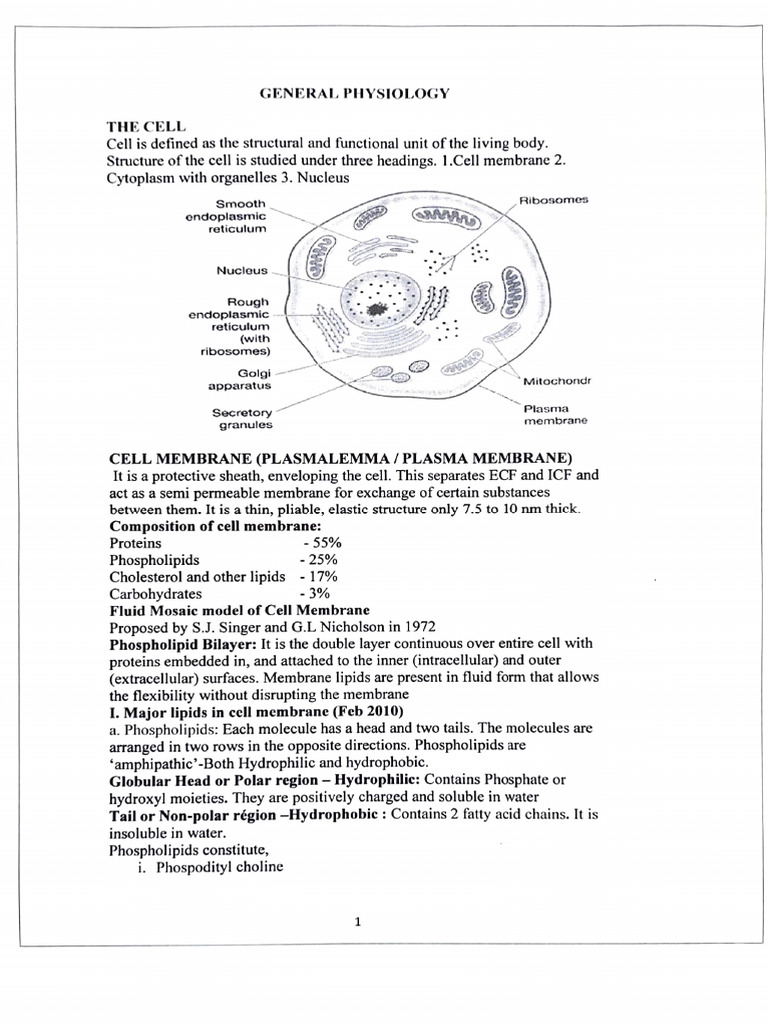 Cell Physiology Overview | PDF | Cell Membrane | Cell Adhesion