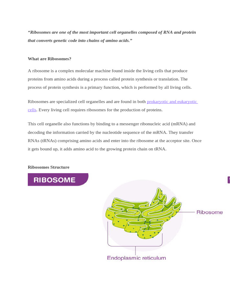 UNIT-II | PDF | Ribosome | Ribosomal Rna