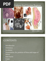 Download Seminar on Obstructed Labour by tesfahuntekletilahun SN78993623 doc pdf