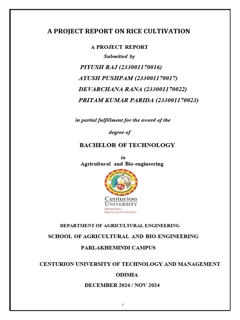 Project Report on Rice Cultivation | PDF | Rice | Fertilizer