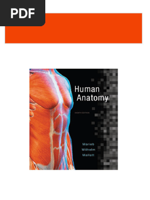 PDF Human Anatomy 8th Edition, (Ebook PDF) download