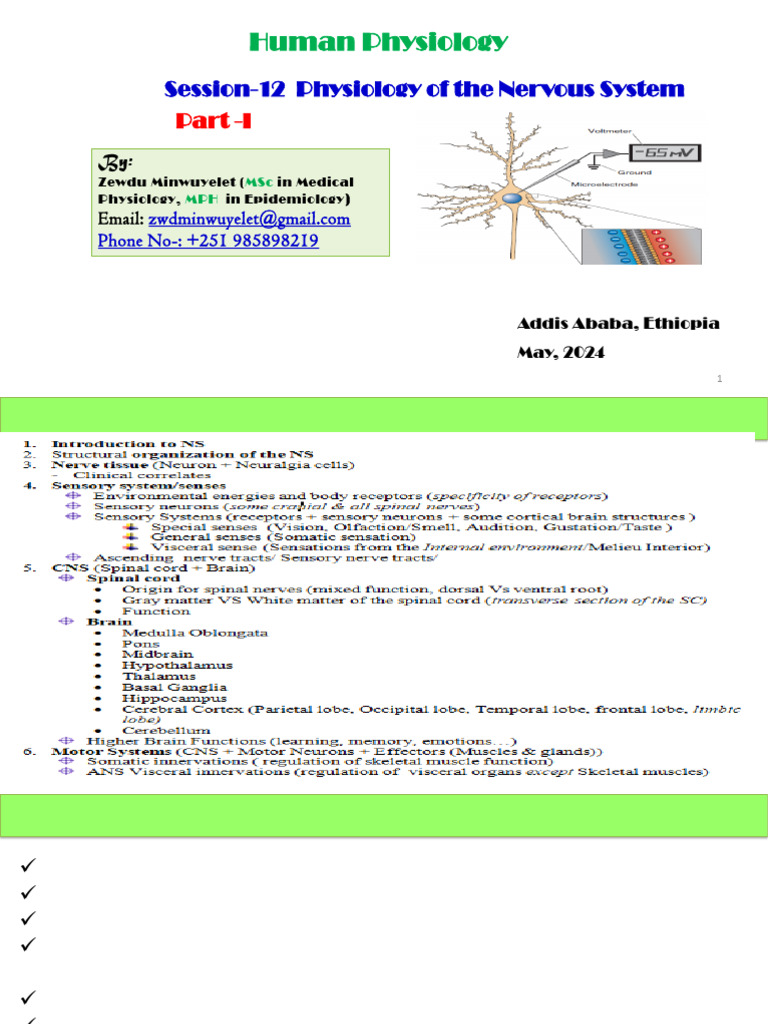 Session 14-1 Introduction To NS | PDF | Central Nervous System | Neuron