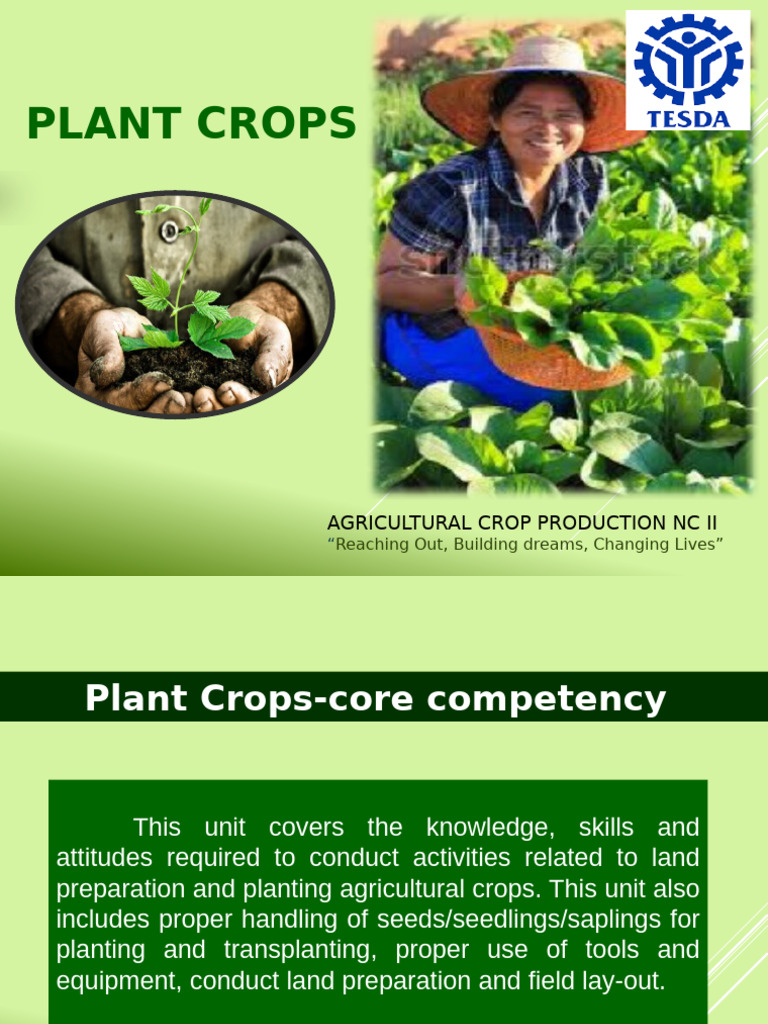 Crops | PDF | Plough | Fertilizer