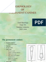 Morphology OF Permanent Canines: Oral Histology Dent 201 Summer Semester 2005/2006