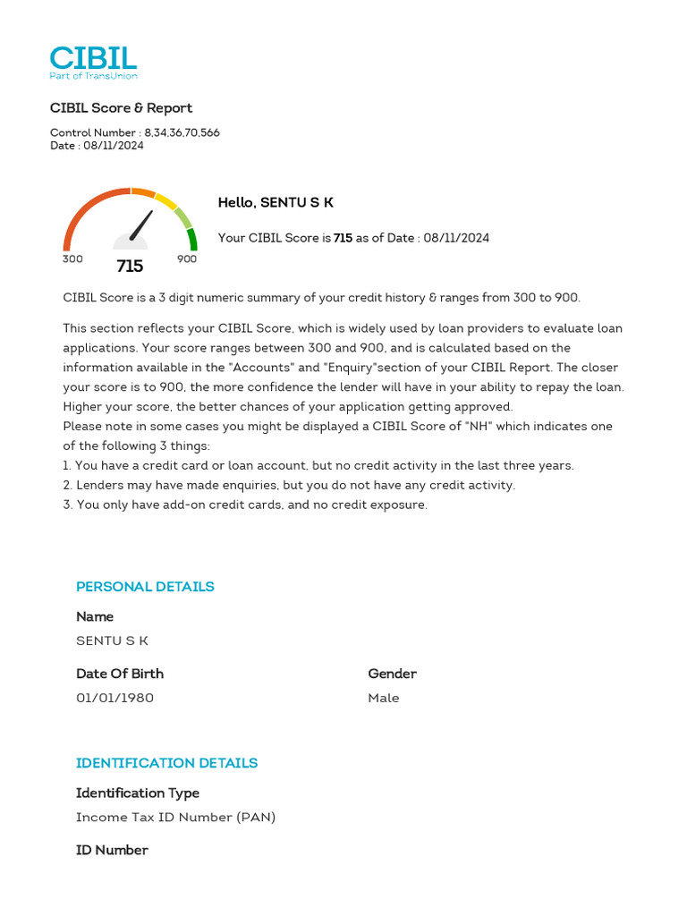 CIBIL Score Report: 715 Overview | PDF | Credit | Finance & Money ...