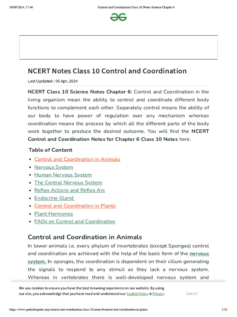 Control and Coordination Class 10 Notes | PDF | Plant Hormone | Cerebrum