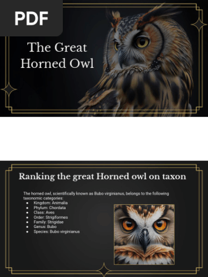 1702285161329 Taxonomy of the Great Horned Owls.pptx
