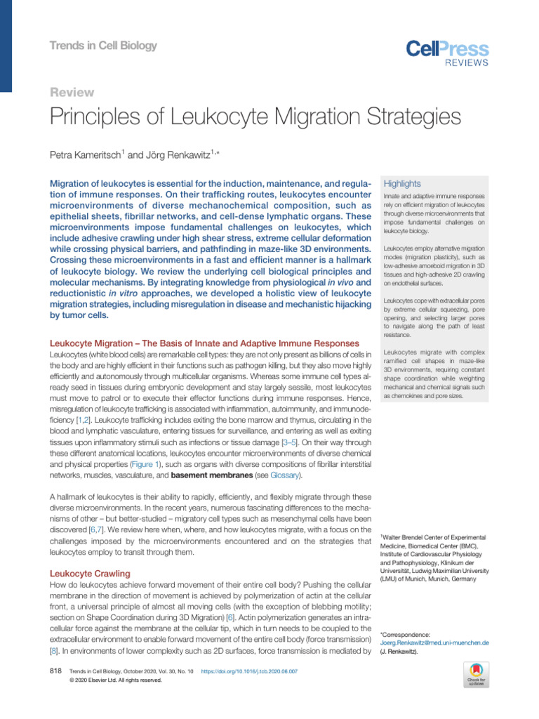Principles of Leukocyte Migration Strategies: Review | PDF | Cell ...
