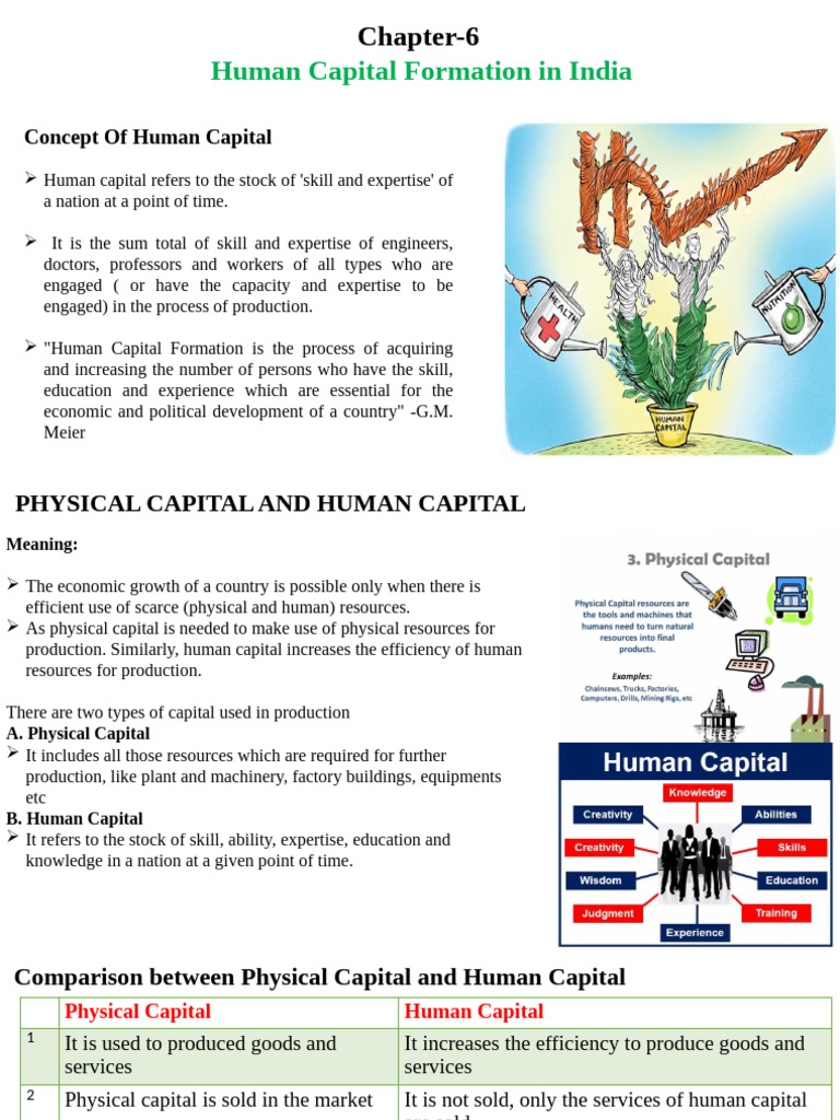 Human Capital in India's Growth | PDF | Cost Of Living | Human Capital