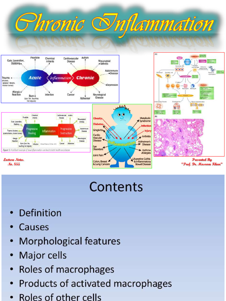 Chronic Inflammation - 2 | PDF