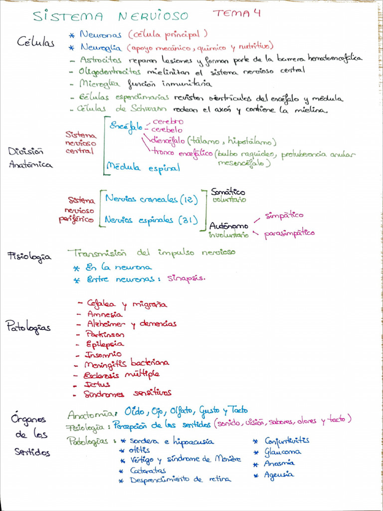 Esquema Tema 4 | PDF
