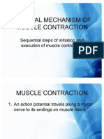 General Mechanism of Muscle Contraction