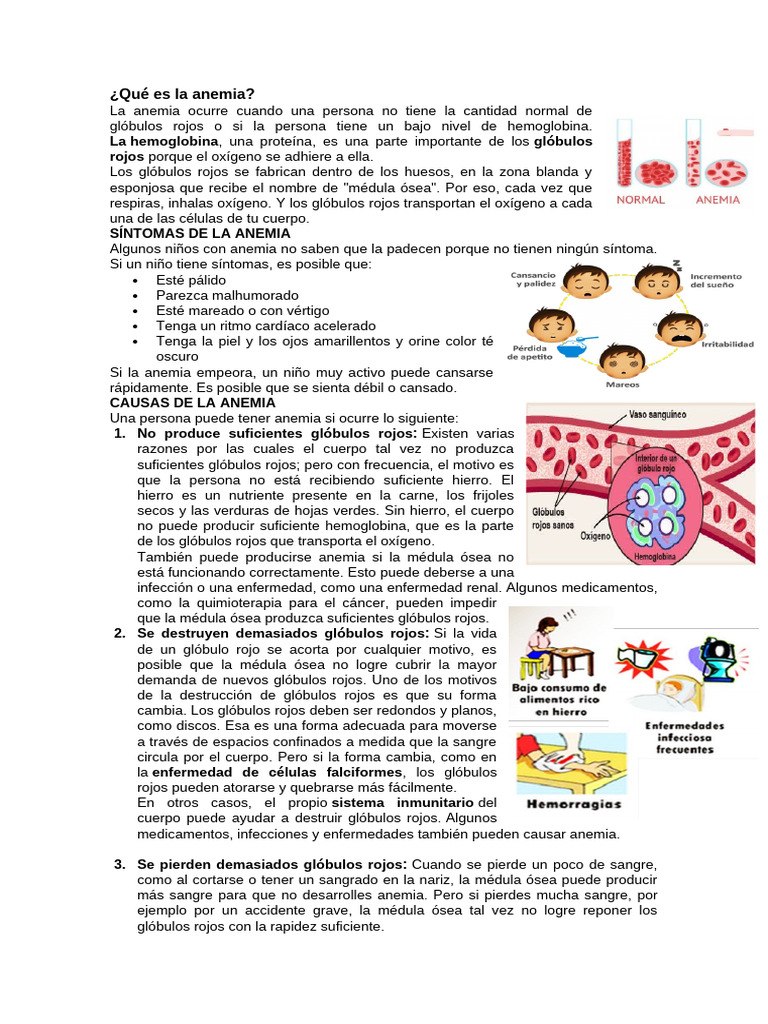 Texto de La Anemia | PDF | Anemia | Glóbulo rojo