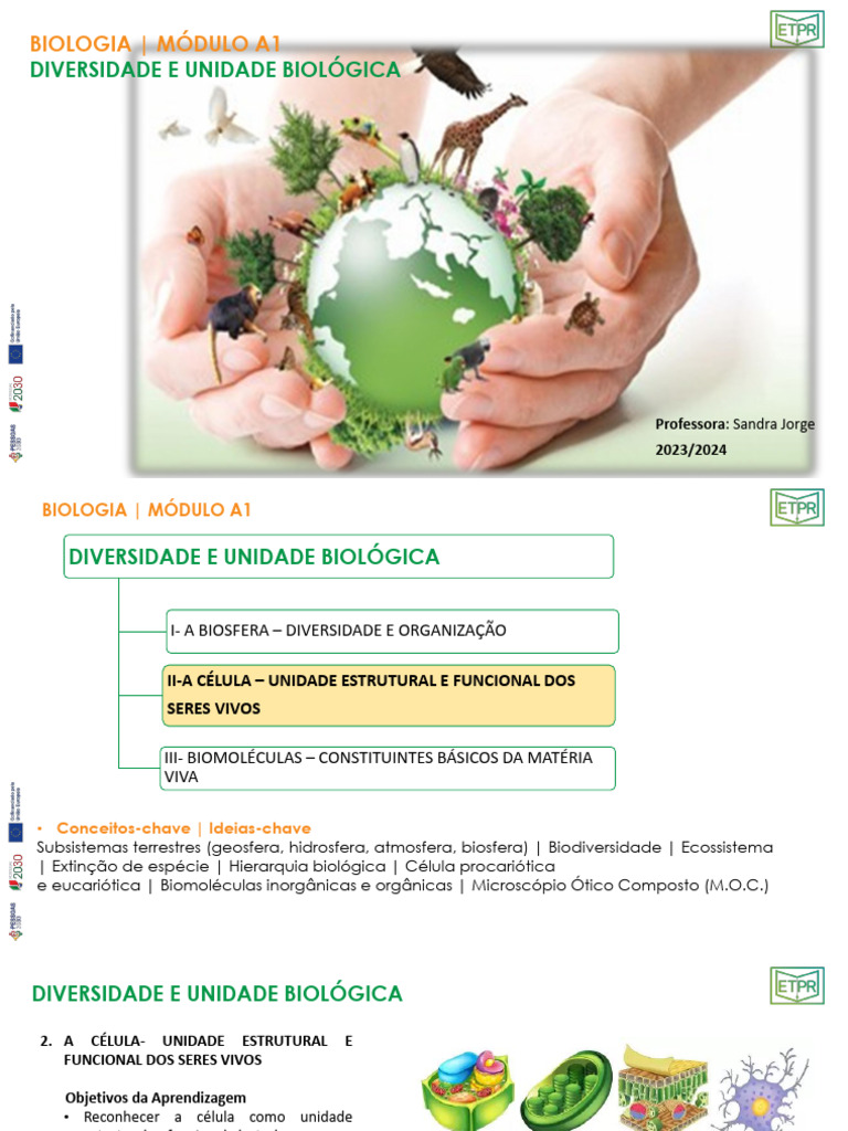 Estrutura e Função da Célula na Biologia | PDF | Célula (Biologia ...