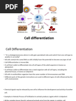 Cell Biology: Structure and Function | PDF | Cell Membrane | Cell (Biology)