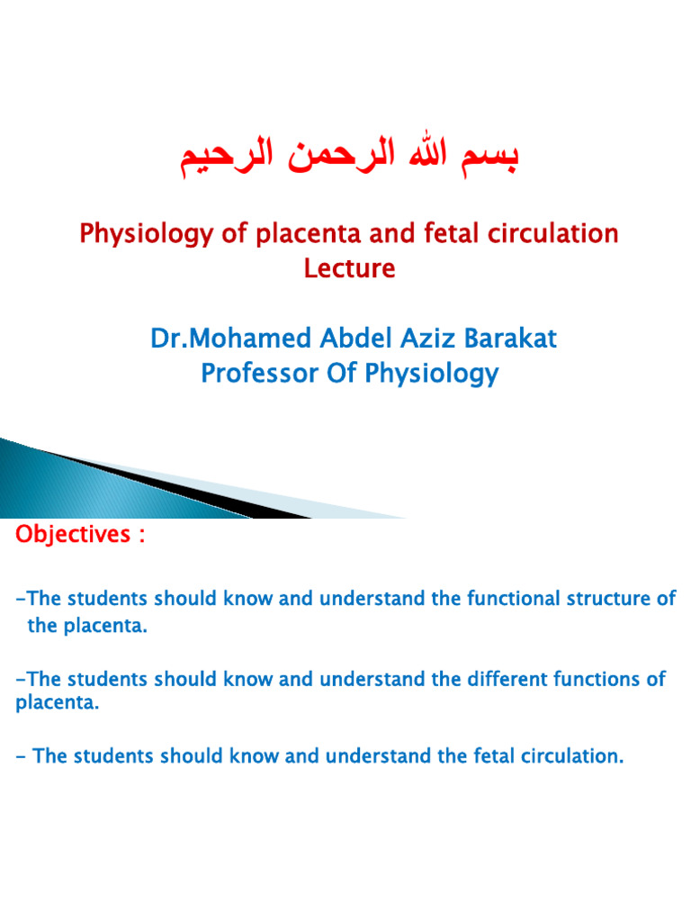 Placenta and Fetal Circulation Overview | PDF | Menstrual Cycle ...
