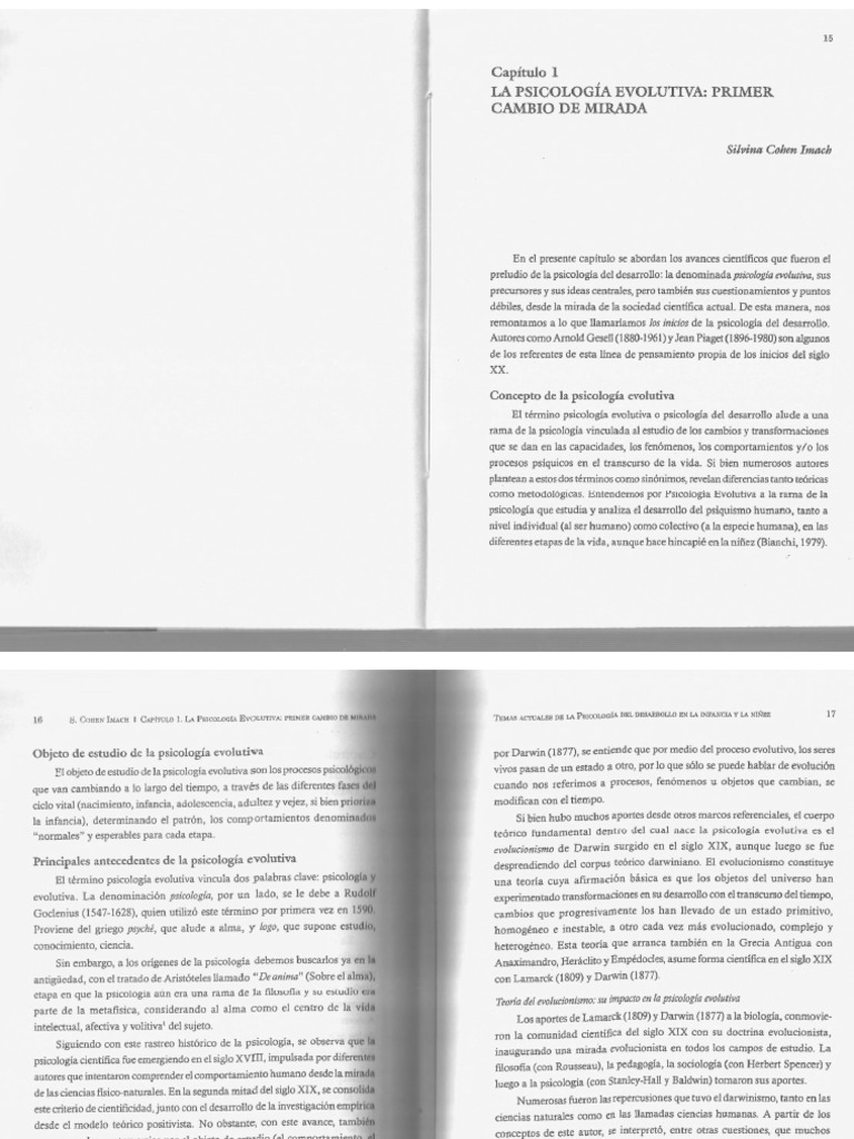 01 Cohen Imach | PDF