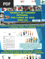 Modelo de Cuidado Integral por Curso de Vida | PDF | Adultos ...