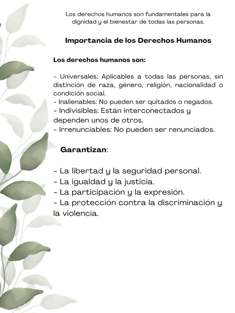 Importancia y Desafíos de los Derechos Humanos | PDF | Ciencias sociales