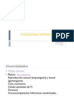 Coccidias ales Para Parcial