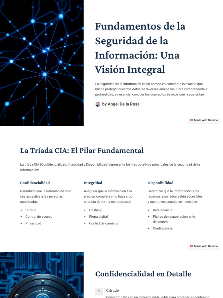 Fundamentos de Seguridad de la Información | PDF | Seguridad | La ...