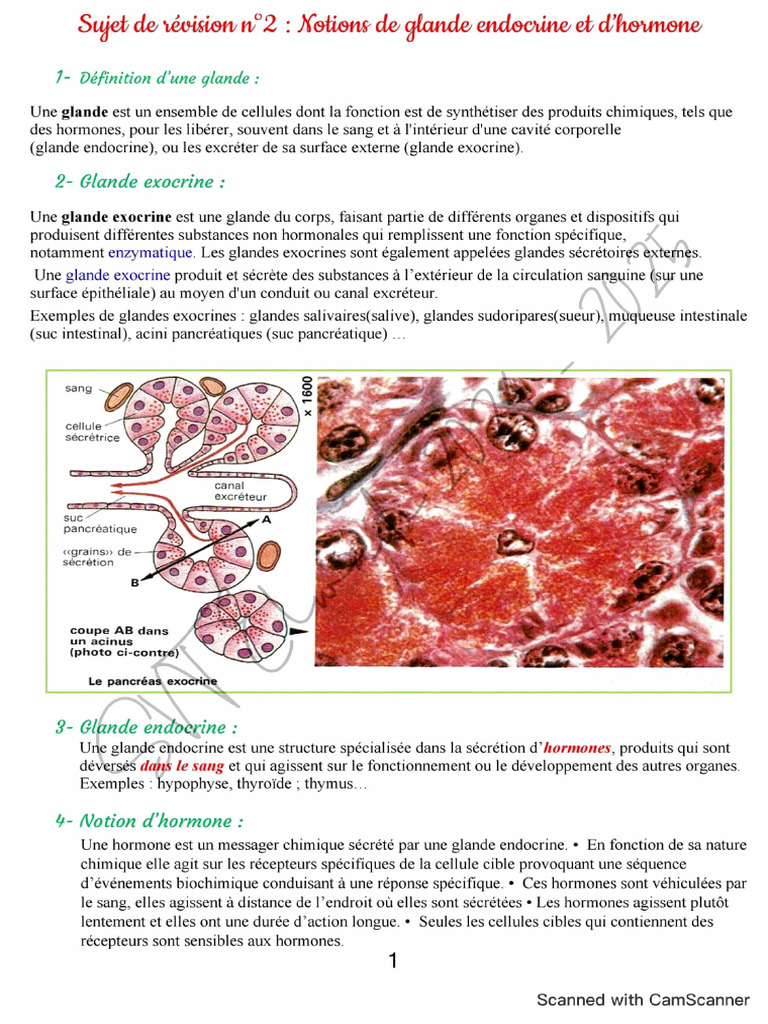 Notion de Glande Endocrine Et D'hormone PDF — free download