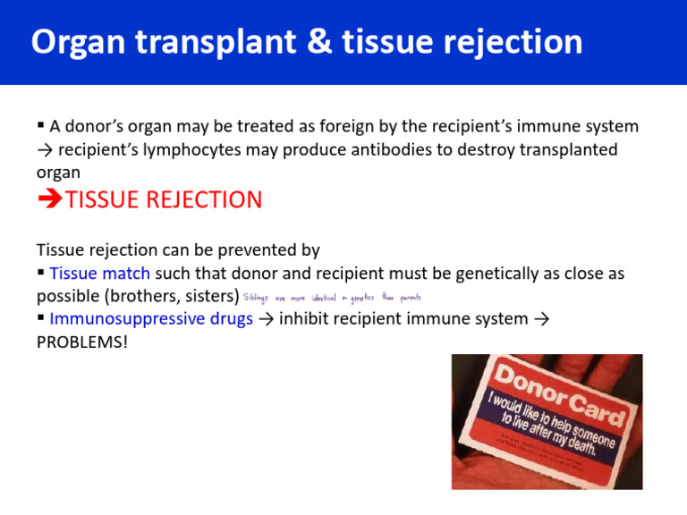 Organ Transplant and Tissue Rejection | PDF | Self-Improvement | Wellness