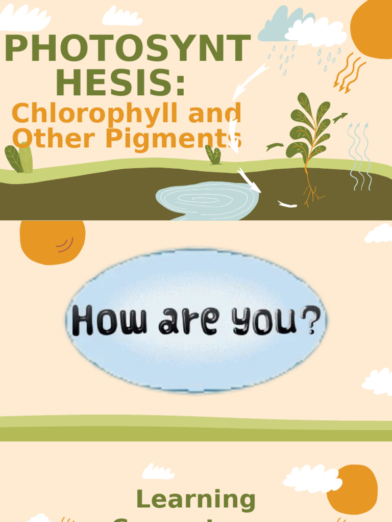 Importance of Plant Pigments in Photosynthesis | PDF | Chlorophyll ...