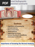 Periapical Radiographic Anatomy Guide | PDF | Dental Anatomy | Human Tooth