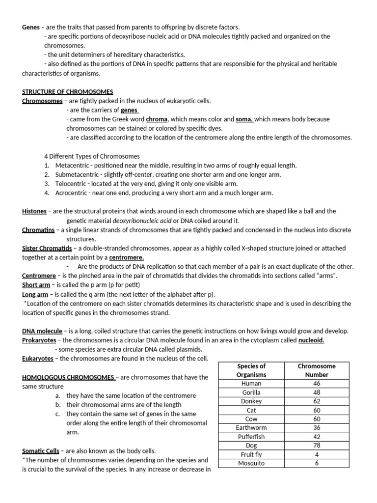 Genes | PDF | Chromosome | Dna