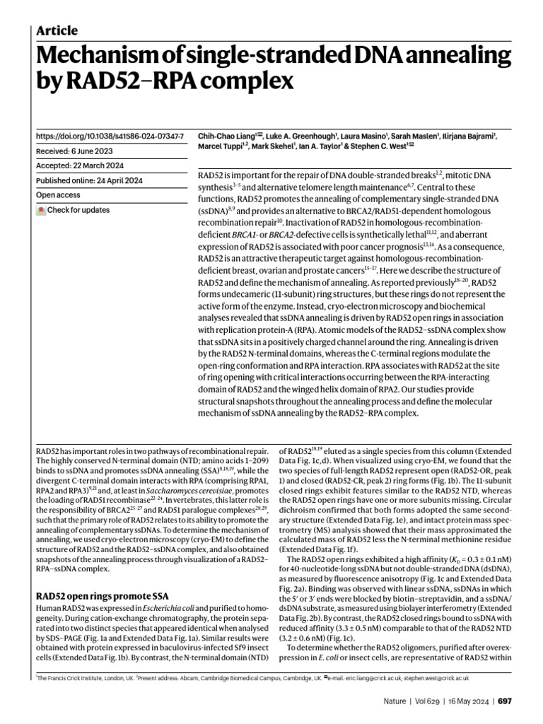 s41586-024-07347-7 | PDF | Dna | Nucleic Acid Thermodynamics