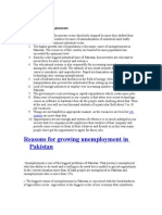 Reasons For Growing Unemployment in Pakistan: Major Causes of Unemployment
