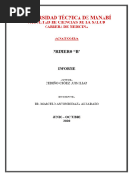 Estructura del Cráneo: Endobase y Exobase | PDF | Otorrinolaringología ...