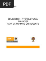 Diplomado La Educacion Intercultural Bilingue para La Formacion Docente