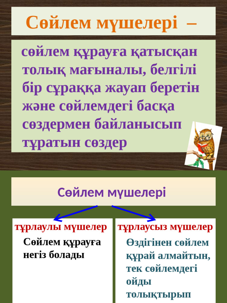 Куннилингус порно техникасының оқулығы