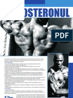 Articol Proliferomania - Ro - Testosteronul