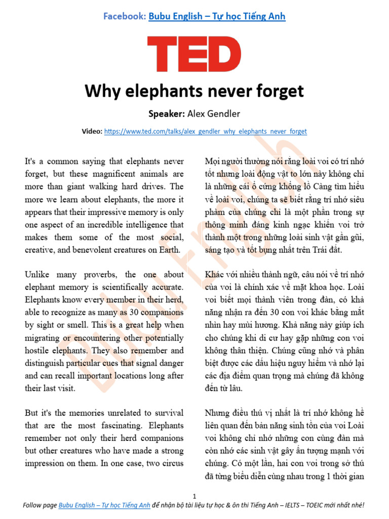 Why Do Elephants Never Forget? The Incredible Truth