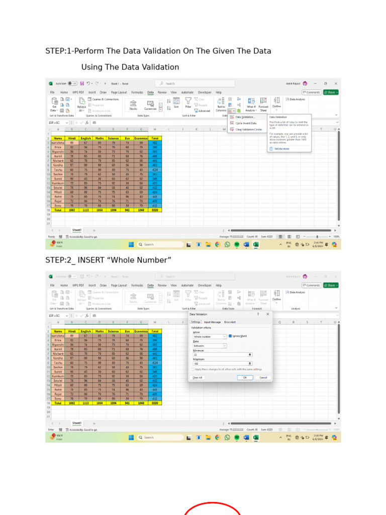 Data Validation and Chart Creation Guide | PDF