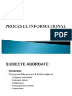 Procesul Informational