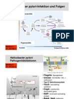 27.-29.Std WS2010-11 Gastroenterologie