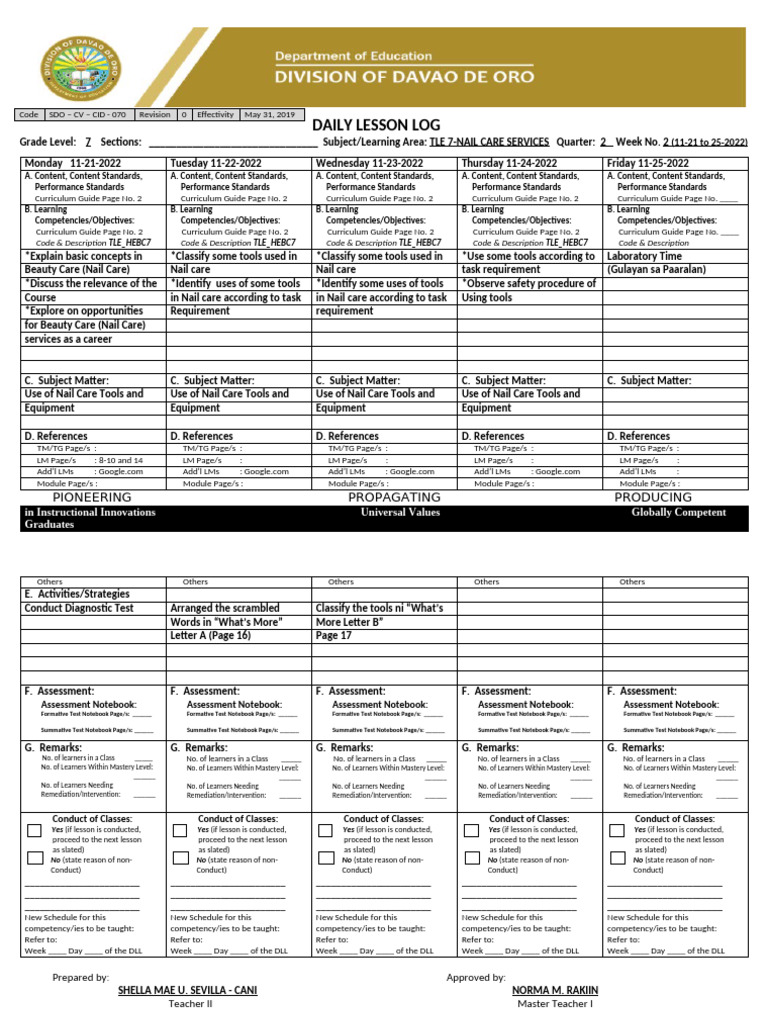 TLE 7 Nail Care Services Lesson Plan | PDF | Curriculum | Teaching