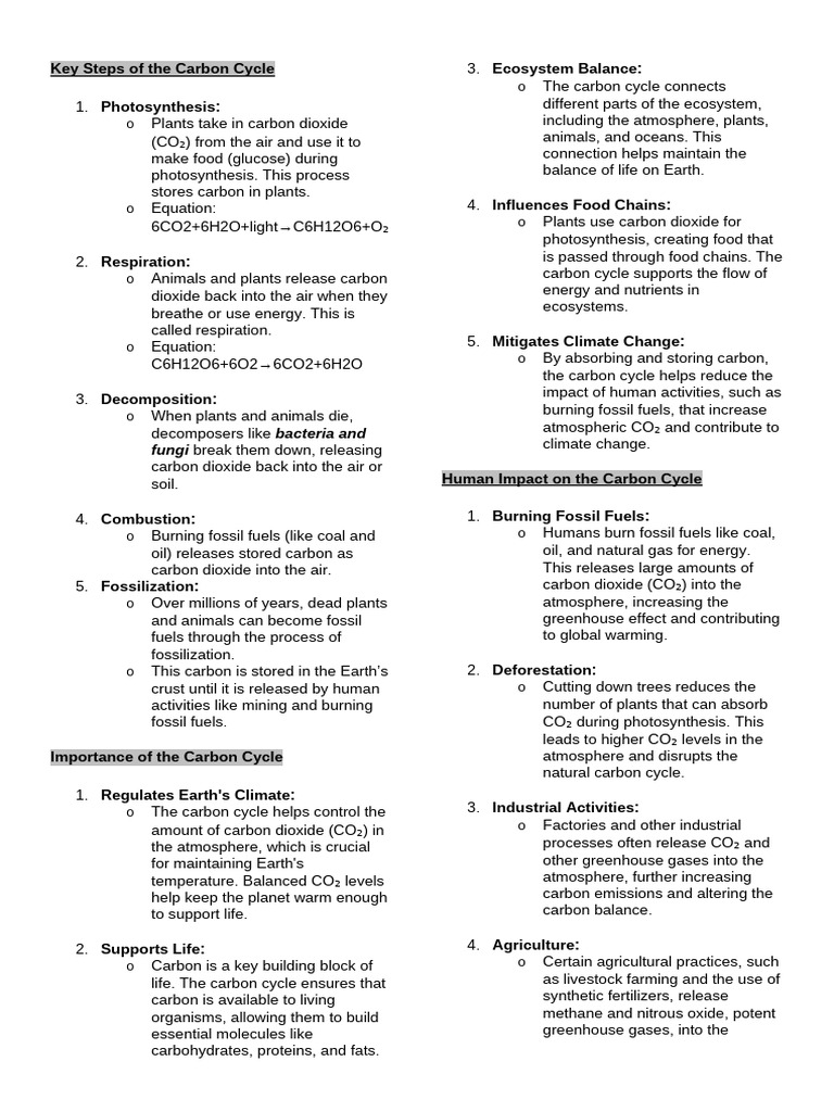 Key Processes in the Carbon Cycle | PDF | Carbon Cycle | Carbon Dioxide