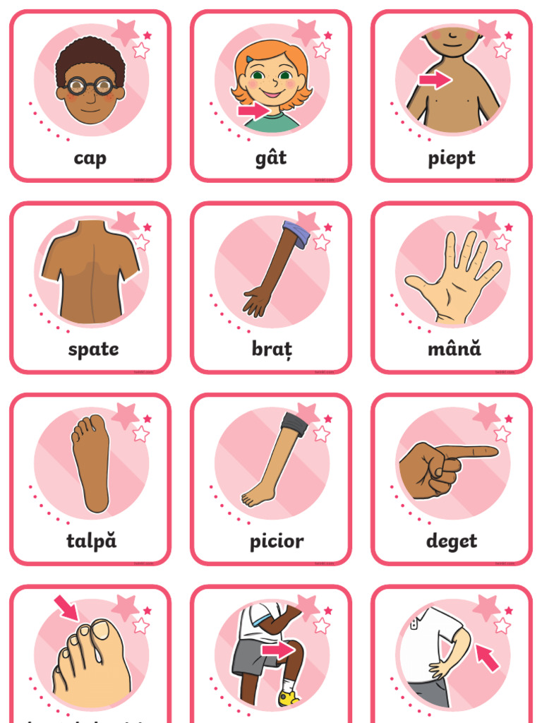 Partile Corpului Cartonase Cu Vocabular | PDF