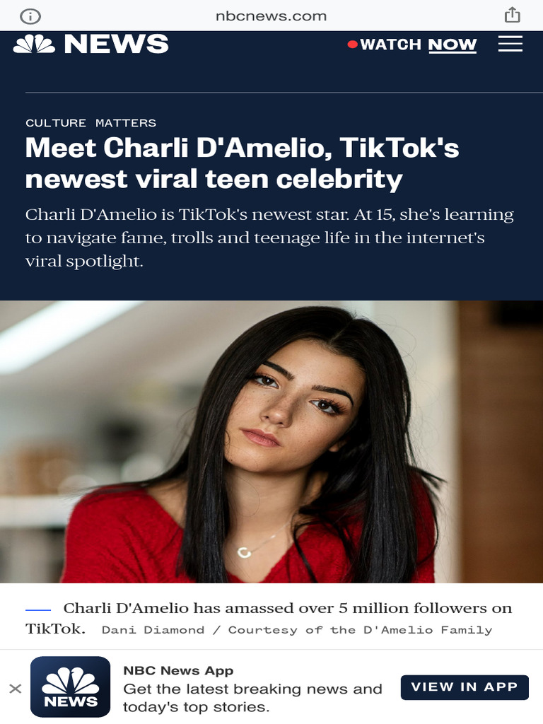 TikTok Star Charli D'Amelio | PDF